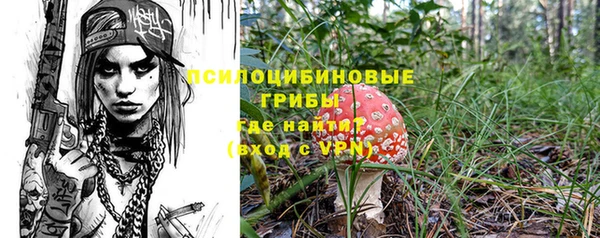 ешки Кинешма