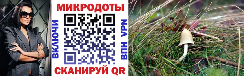 Псилоцибиновые грибы мухоморы  Купить закладки  Пикалёво 